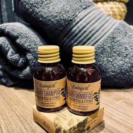 Au Bord De L'eau Climatisé Avec Terrasse Et Vue à 40m De La Appartement